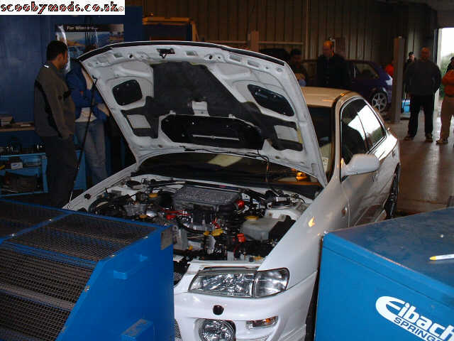 scoob05.jpg