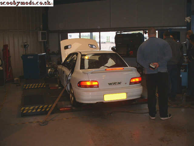 scoob06.jpg