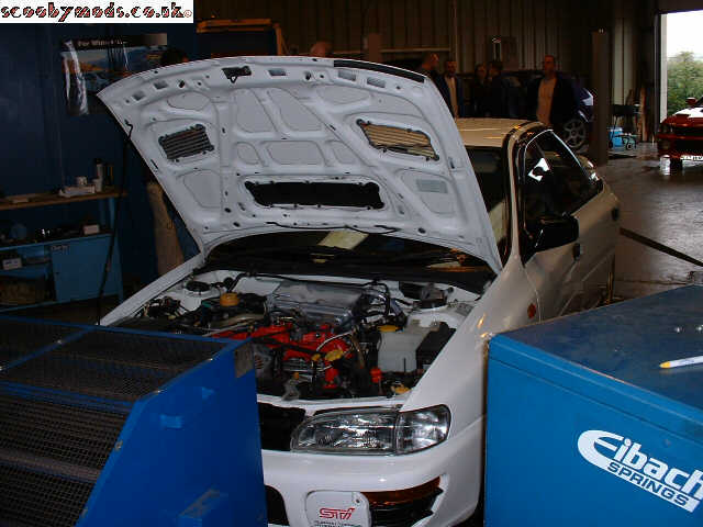 scoob07.jpg